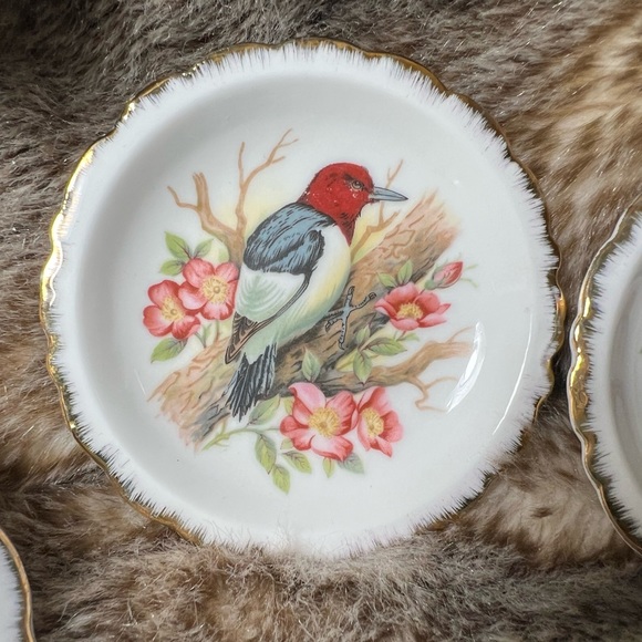 Miniature Porcelain Bird Plates Perched On Branches With Flowers White Gold Trim - Picture 2 of 7